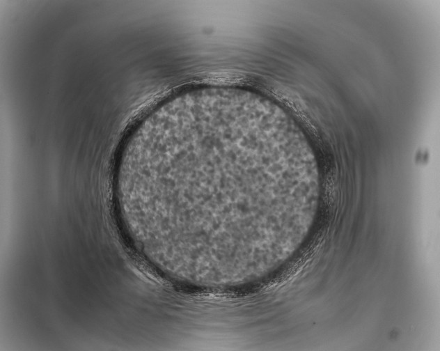 X0000098120303200805021203