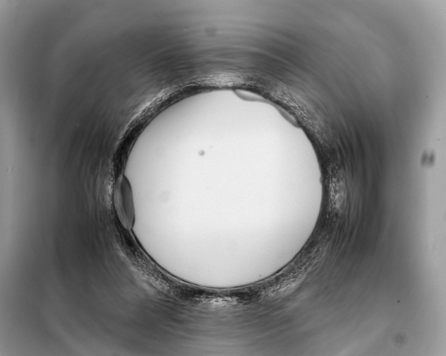 X0000098120304200805021203