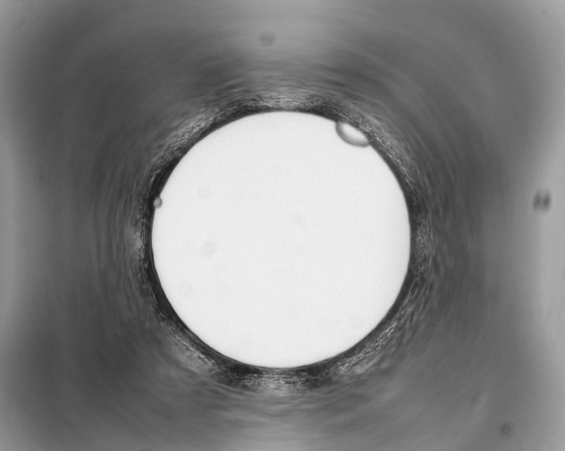 X0000098120305200805021203