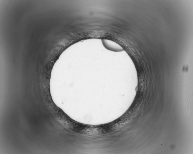 X0000098120307200805021203