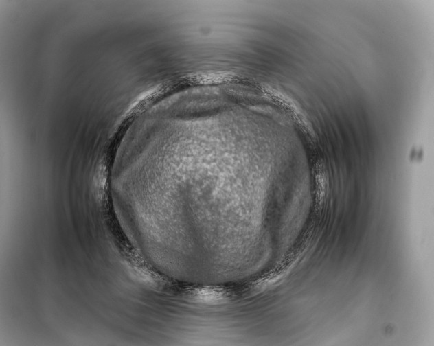 X0000098120308200805021203