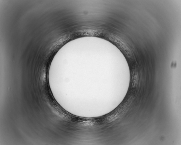 X0000098120310200805021203