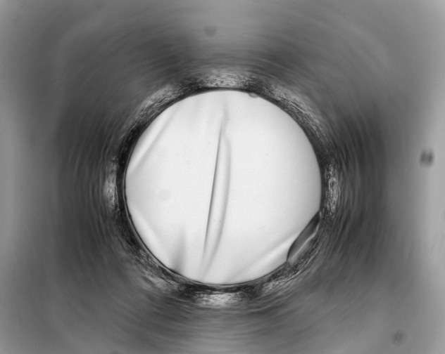 X0000098120312200805021203