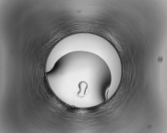 X0000098120313200805021203