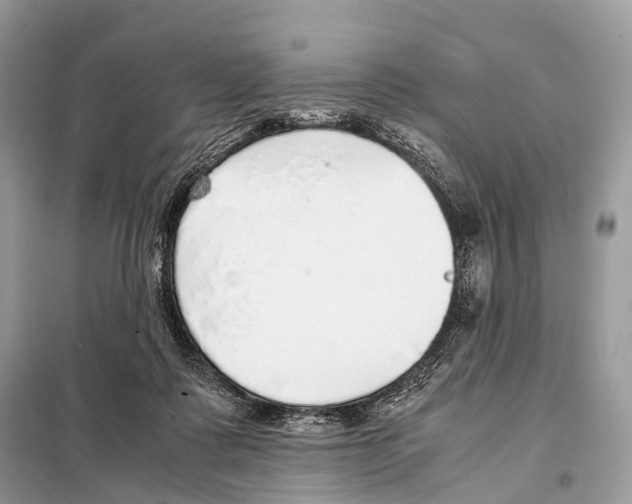 X0000098120315200805021203