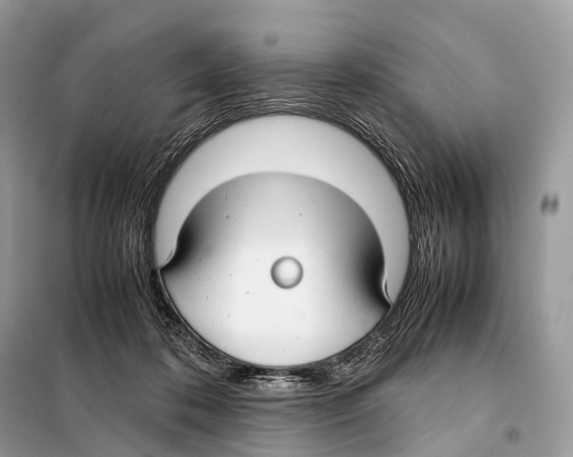 X0000098120316200805021203