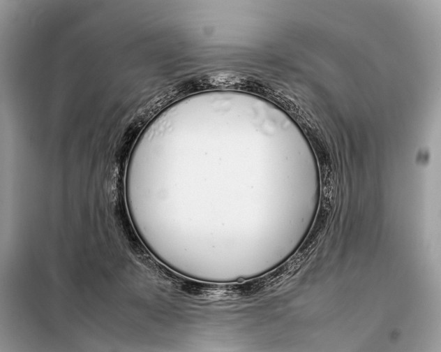 X0000098120319200805021203