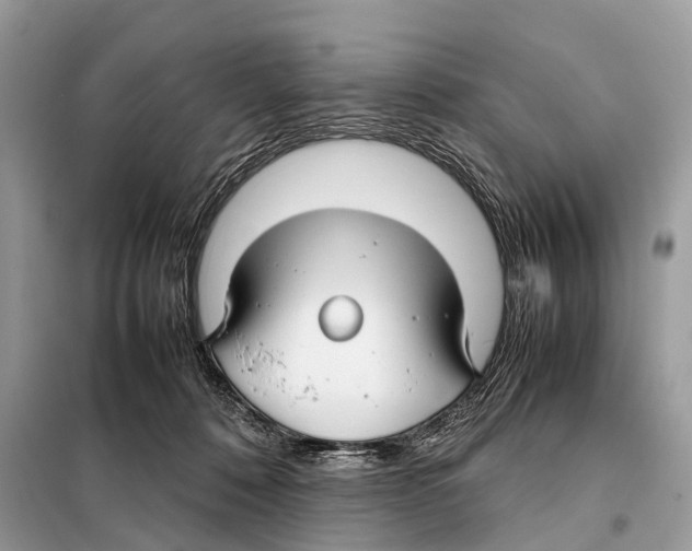 X0000098120320200805021203