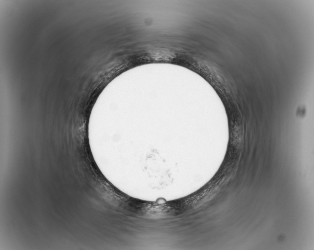 X0000098120321200805021203