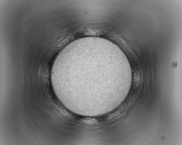 X0000098120322200805021203