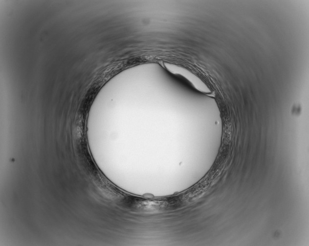 X0000098120323200805021203