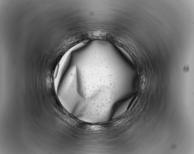 X0000098120324200805021203