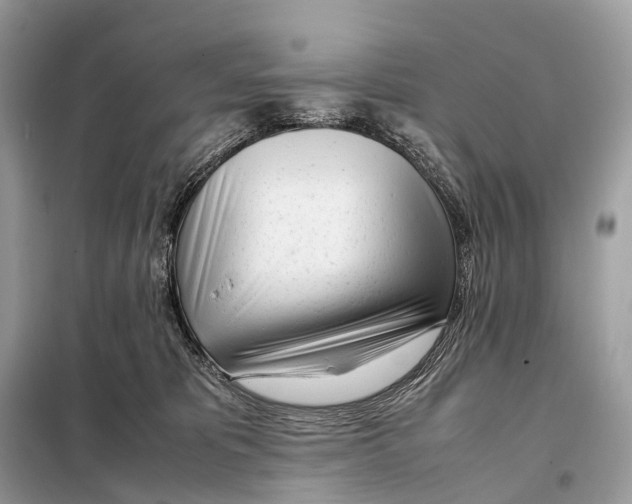 X0000098120325200805021203