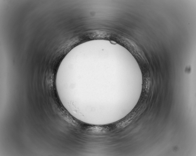 X0000098120326200805021203