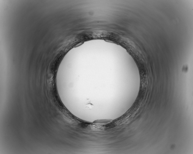 X0000098120327200805021203