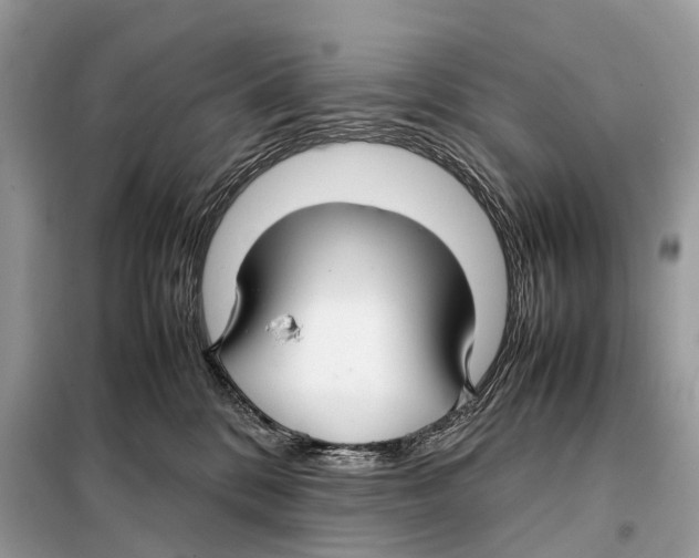 X0000098120328200805021203