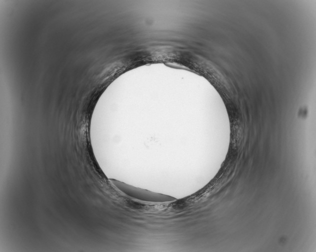 X0000098120329200805021203