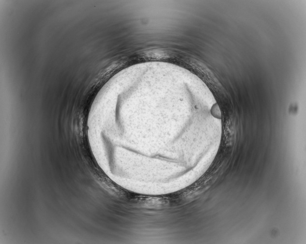 X0000098120330200805021203