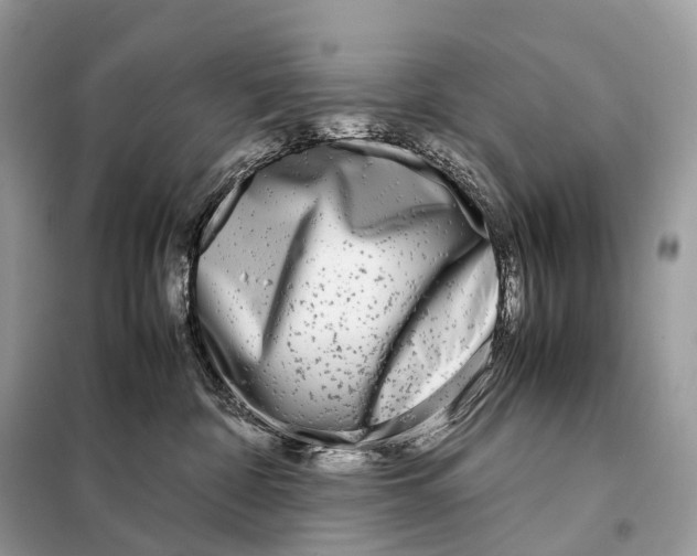 X0000098120332200805021203