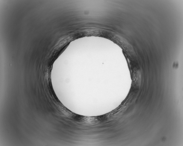 X0000098120333200805021203