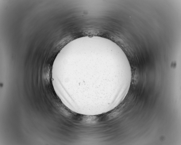 X0000098120334200805021203