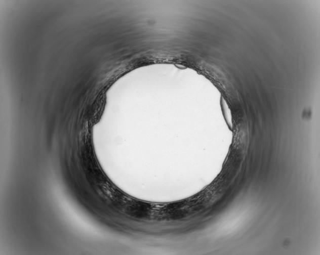 X0000098120335200805021202