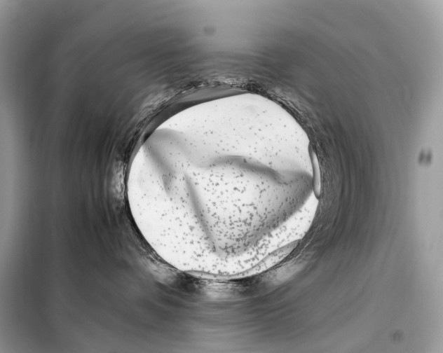 X0000098120336200805021202