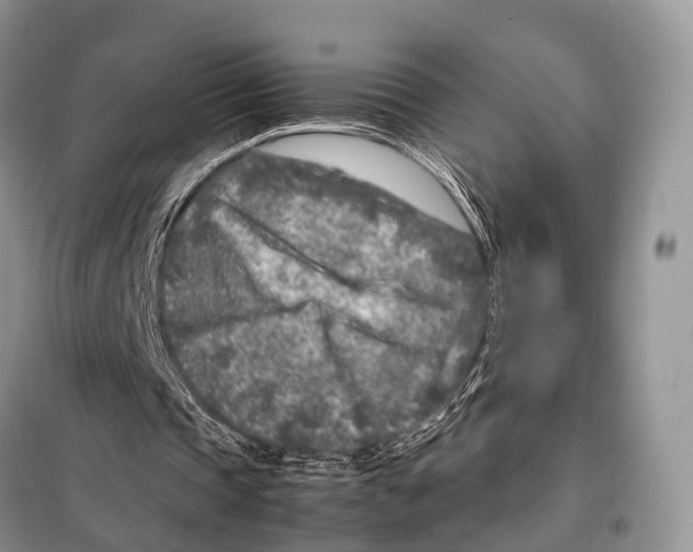 X0000098120337200805021202