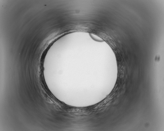 X0000098120338200805021202