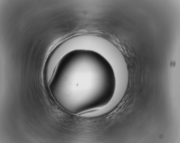 X0000098120340200805021202