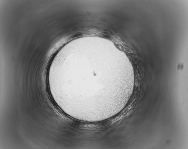 X0000098120341200805021202