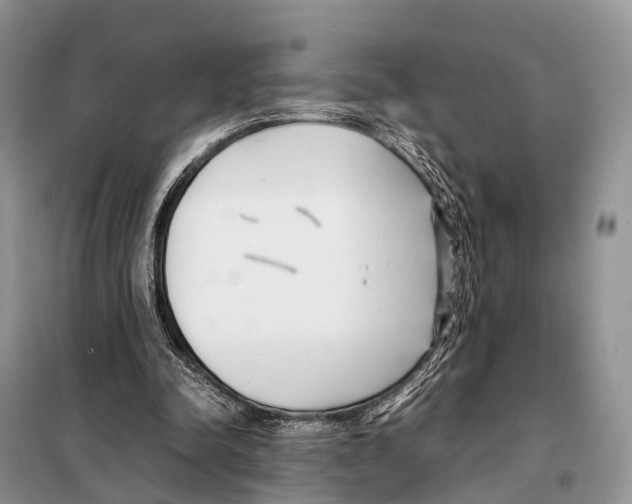 X0000098120342200805021202