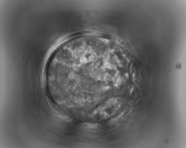 X0000098120343200805021202