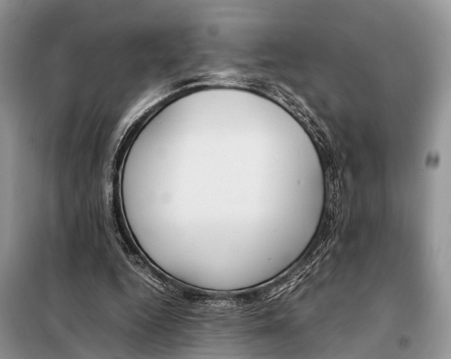 X0000098120344200805021202