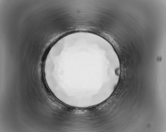 X0000098120346200805021202