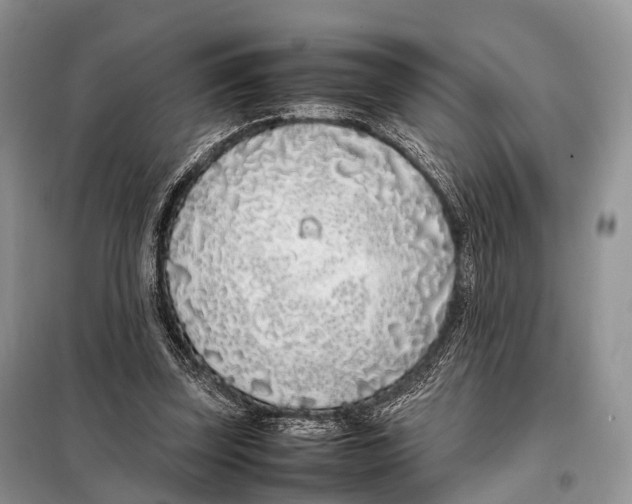 X0000098120347200805021202