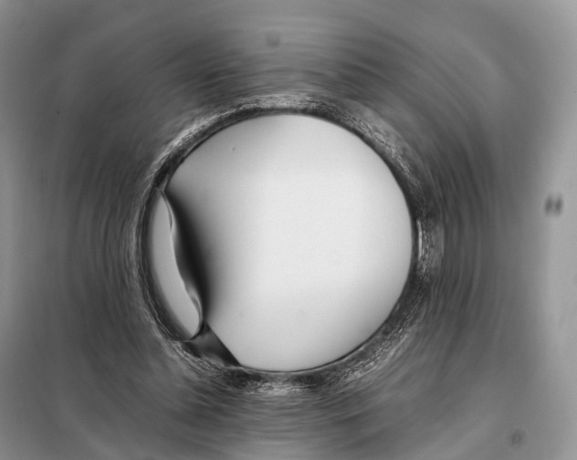 X0000098120348200805021202