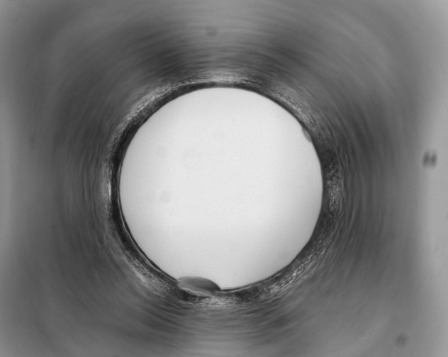 X0000098120350200805021202