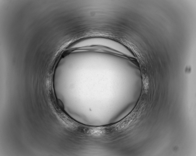 X0000098120352200805021202