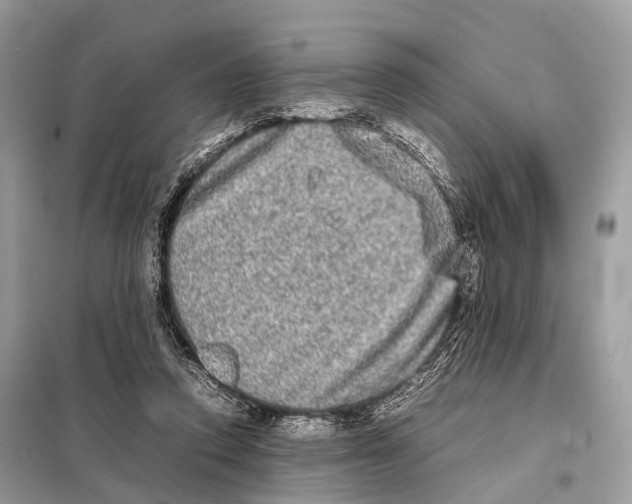 X0000098120354200805021202