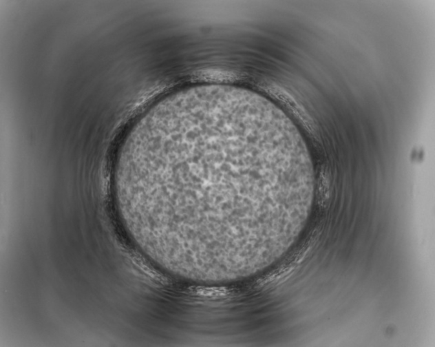 X0000098120355200805021202