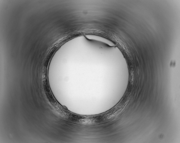 X0000098120356200805021202