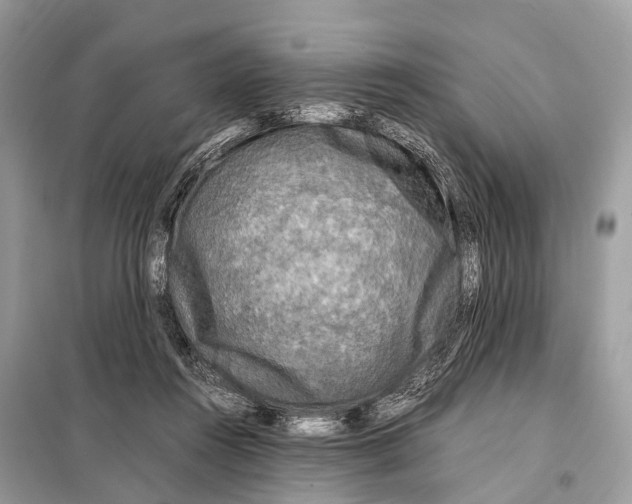 X0000098120360200805021202