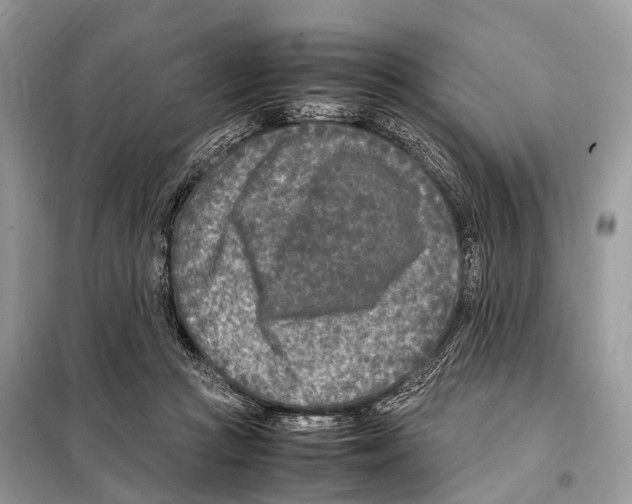 X0000098120361200805021202