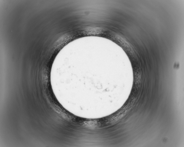 X0000098120362200805021202