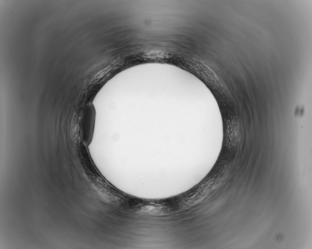 X0000098120364200805021202
