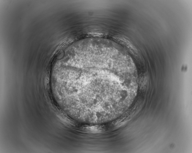 X0000098120365200805021202