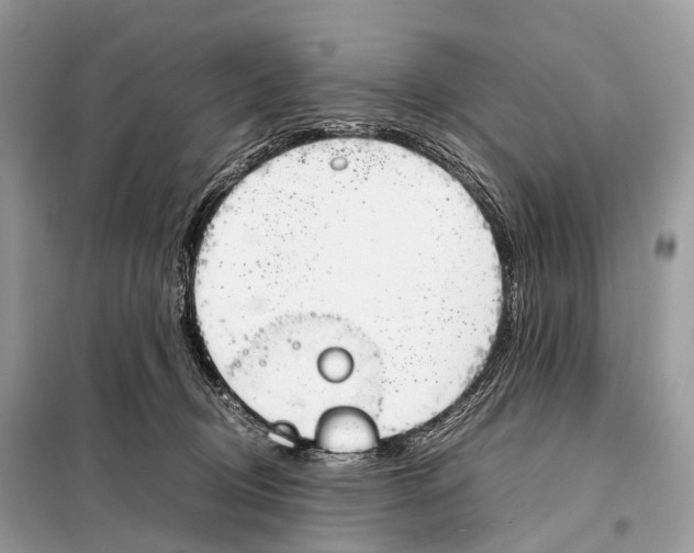 X0000098120370200805021202