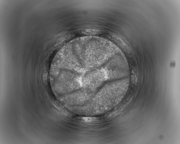 X0000098120371200805021202