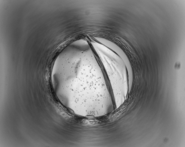 X0000098120372200805021202